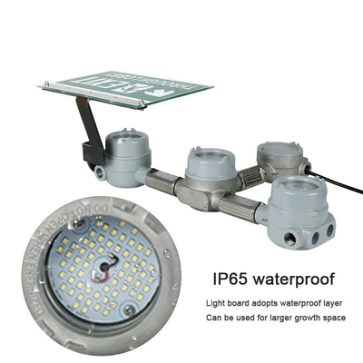 3-6W 耐圧防爆 LED 出口の非常灯の化学工業 IP66 はガソリンスタンドを防水します