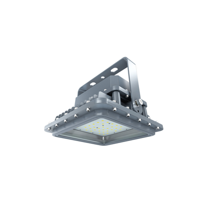 Led 防爆工業用ライト IP66 防水 Ik10 アルミニウム ハウジング ステンレス鋼取り付けブラケット D シリーズ