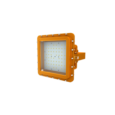 Led 防爆工業用ライト IP66 防水 Ik10 アルミニウム ハウジング ステンレス鋼取り付けブラケット D シリーズ