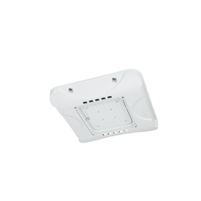 給油所の照明のためのIP66 60W LEDのおおいライトLEDのおおいの改造