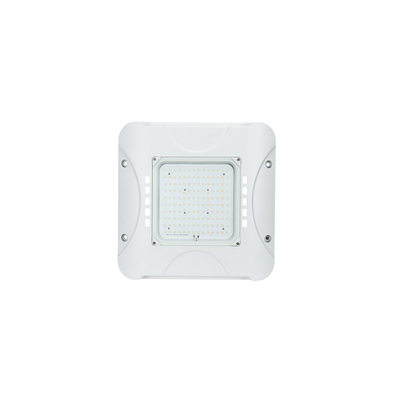 給油所の照明のためのIP66 60W LEDのおおいライトLEDのおおいの改造